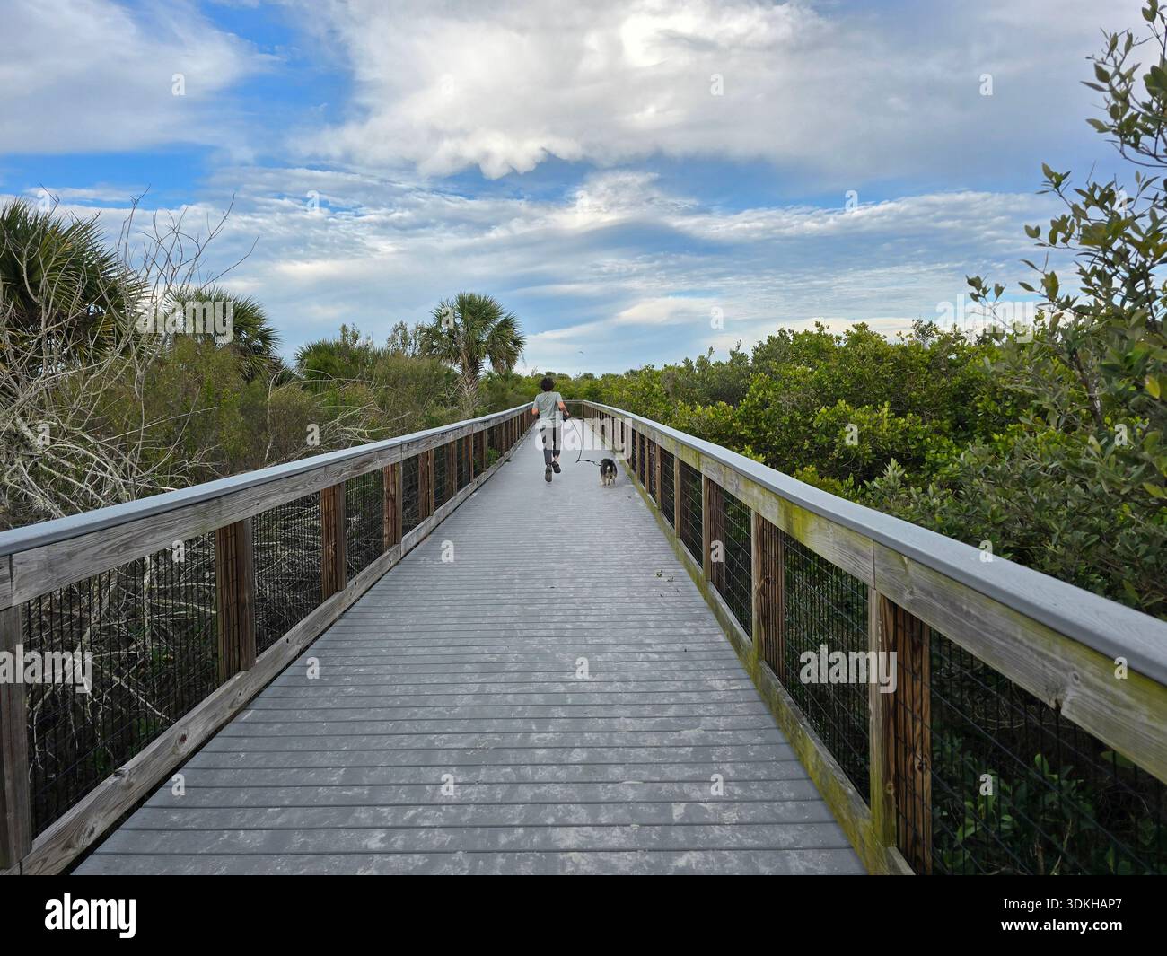 Un bambino che corre con un cane lungo una passerella di legno circondata da una fitta vegetazione verde e da palme sotto un cielo parzialmente nuvoloso. - Immagine stock catturata con smartphone