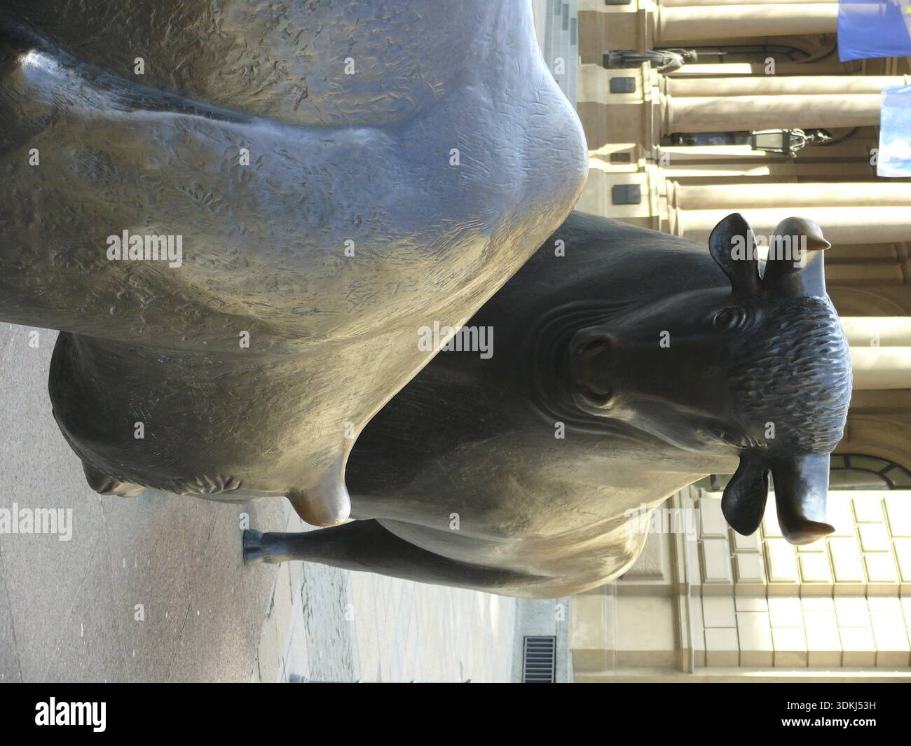 Orso, toro, borsa valori, Francoforte, Frankfurter, azioni, negoziazione di azioni, negoziazione di azioni, economia, titoli, mercato degli orsi, mercato dei toro Foto Stock