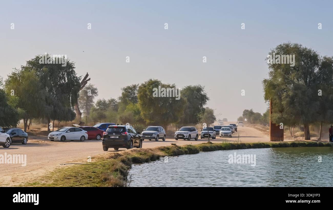 Weekend affollati, auto e visitatori al famoso parco ecologico del deserto al Qudra, riserva naturale di Dubai, Emirati Arabi Uniti Foto Stock