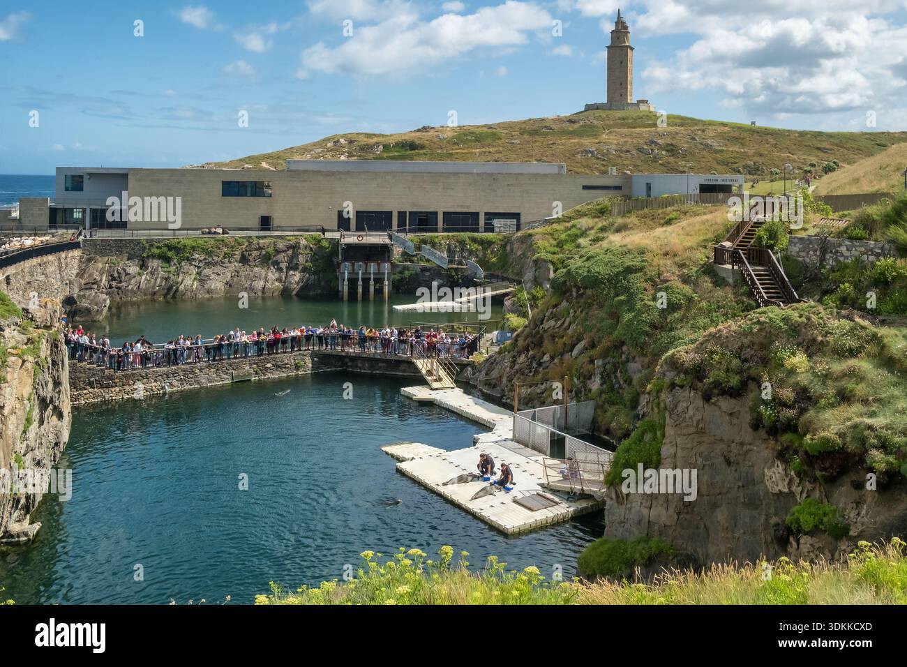 Piscina all'aperto con foche all'Aquarium Finisterrae e Torre di Ercole Foto Stock