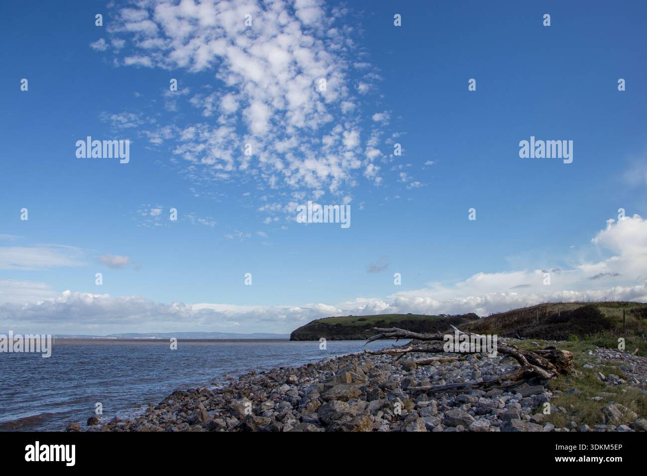 Una costa rocciosa a Clevedon, canale di Bristol. Guardando a nord lungo la costa con cieli azzurri e alcune nuvole estive. Rami intemprati Foto Stock