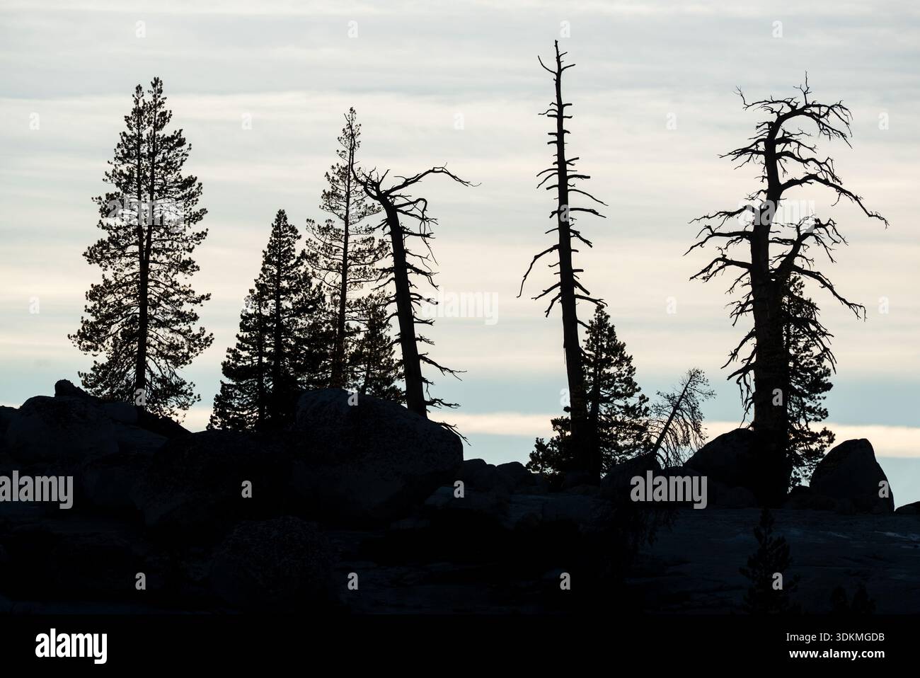 Cresta sagomata da Olmstead Point, Yosemite National Park, California, Stati Uniti. Foto Stock
