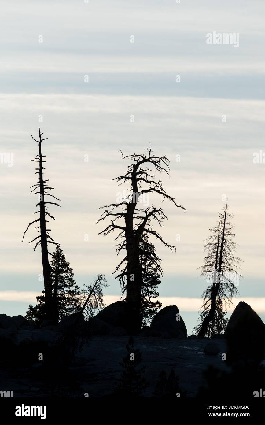 Cresta sagomata da Olmstead Point, Yosemite National Park, California, Stati Uniti. Foto Stock