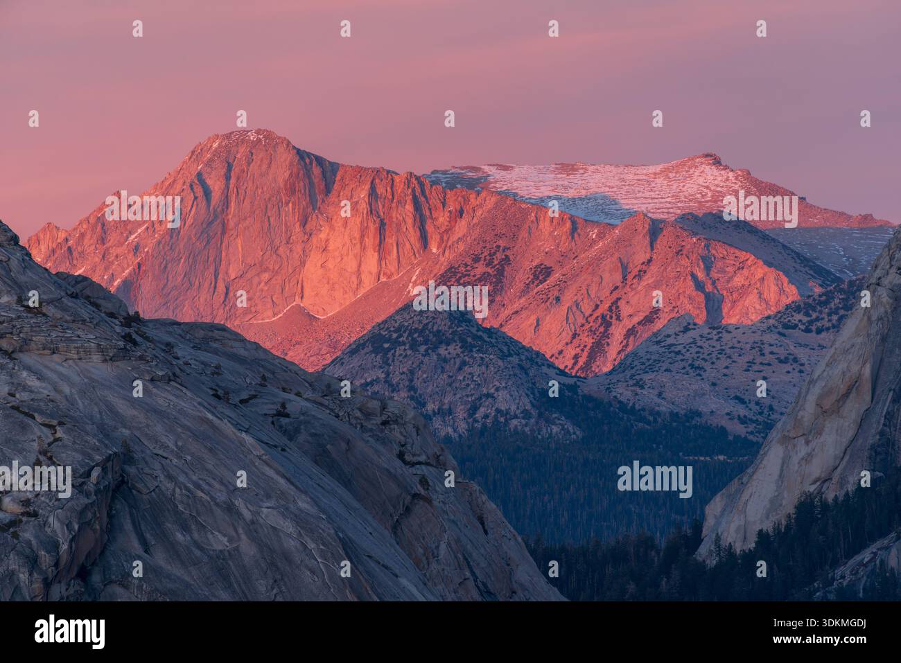 Parco Nazionale di Yosemite in California, Stati Uniti d'America. Foto Stock