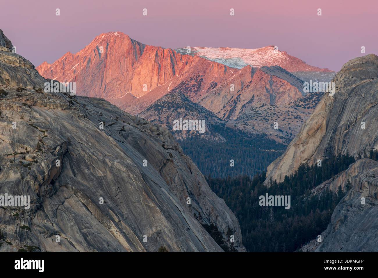 Parco Nazionale di Yosemite in California, Stati Uniti d'America. Foto Stock