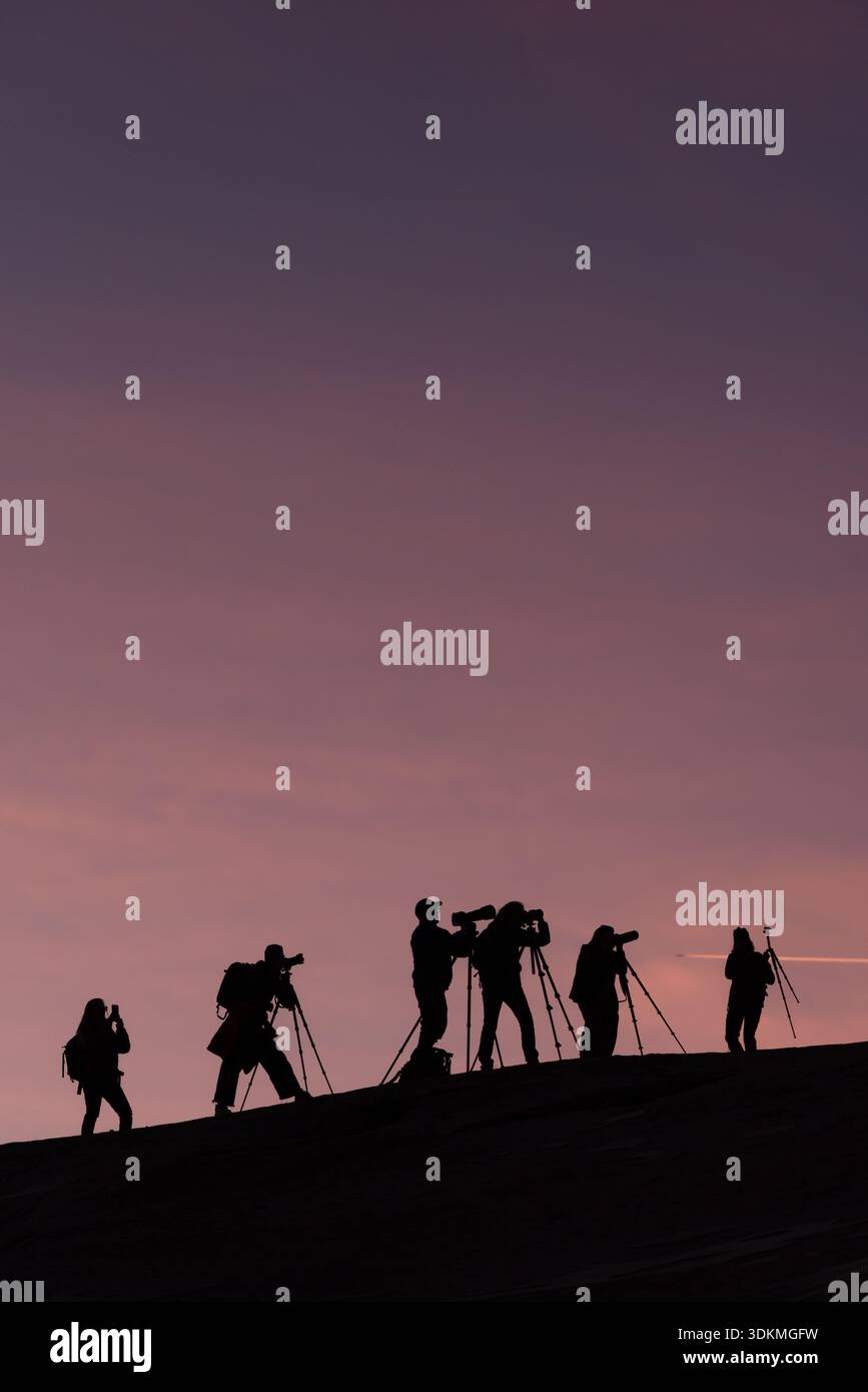 Gruppo di fotografi a Olmstead Point, Yosemite National Park, California, Stati Uniti. Foto Stock