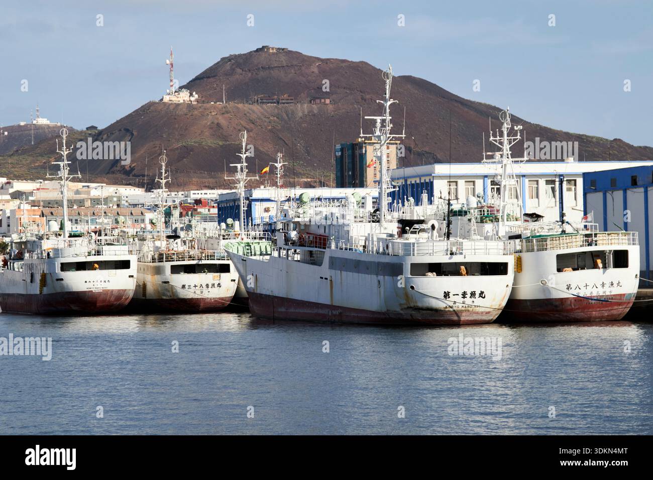 la flotta di pescherecci giapponesi koryo maru è legata al porto di las palmas de gran canaria, isole canarie, spagna Foto Stock