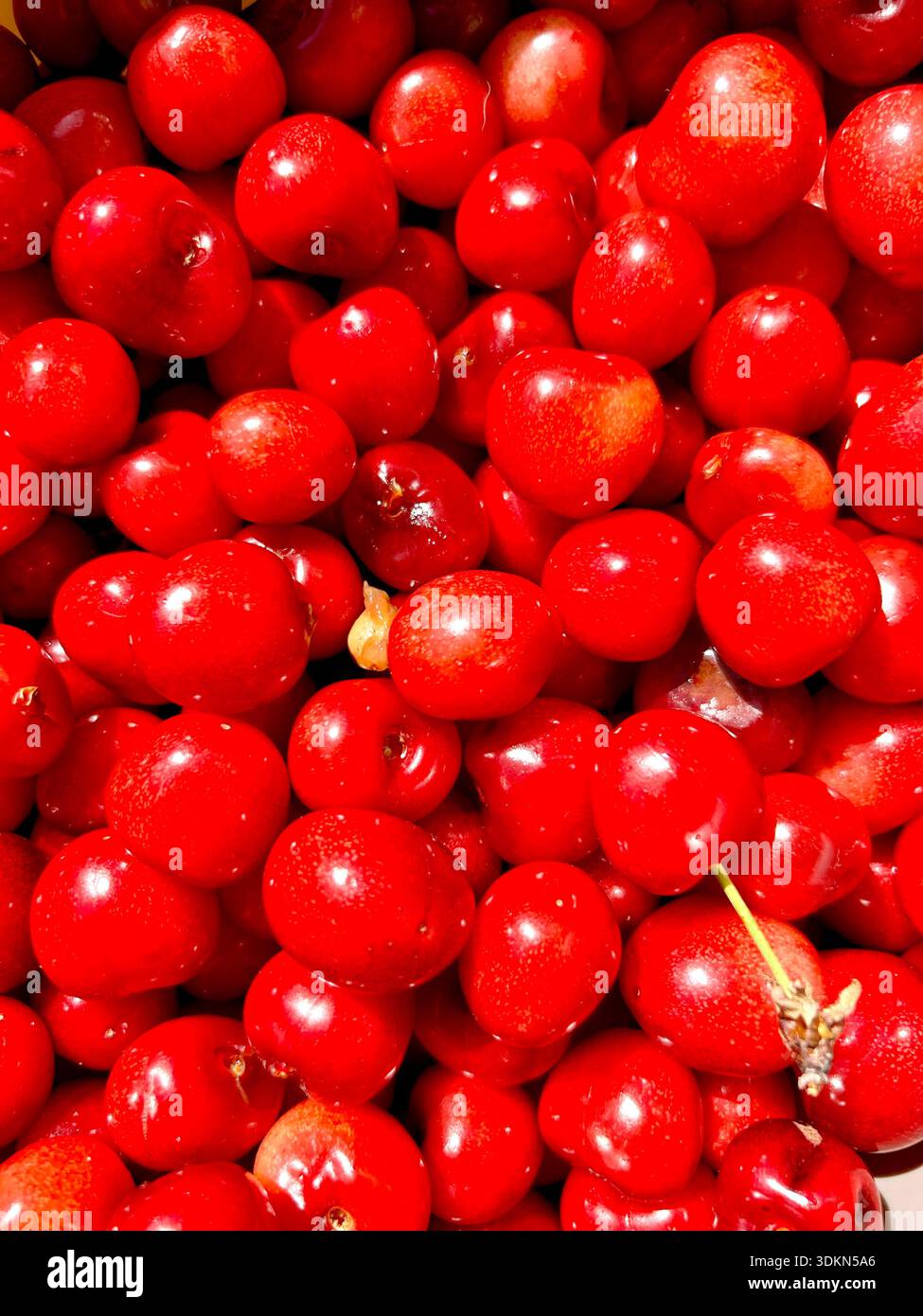 Molti pomodori - Immagine stock catturata con smartphone