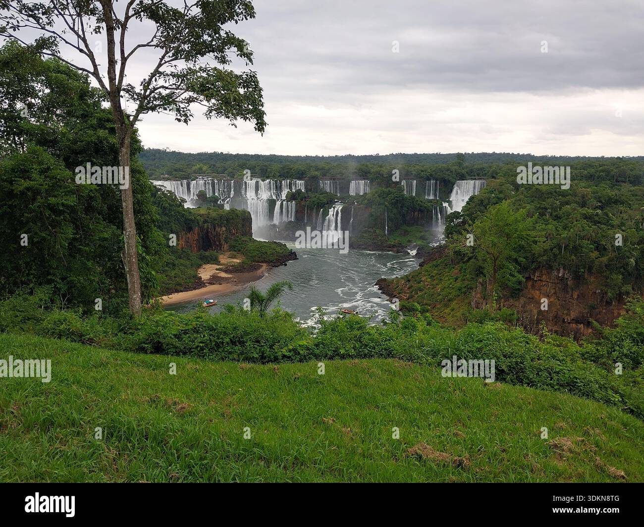 CASCATE DI IGUAZU, MISIONES, ARGENTINA - 17 GENNAIO 2025: Vista panoramica delle maestose cascate e della lussureggiante foresta pluviale tropicale al confine tra Arg Foto Stock