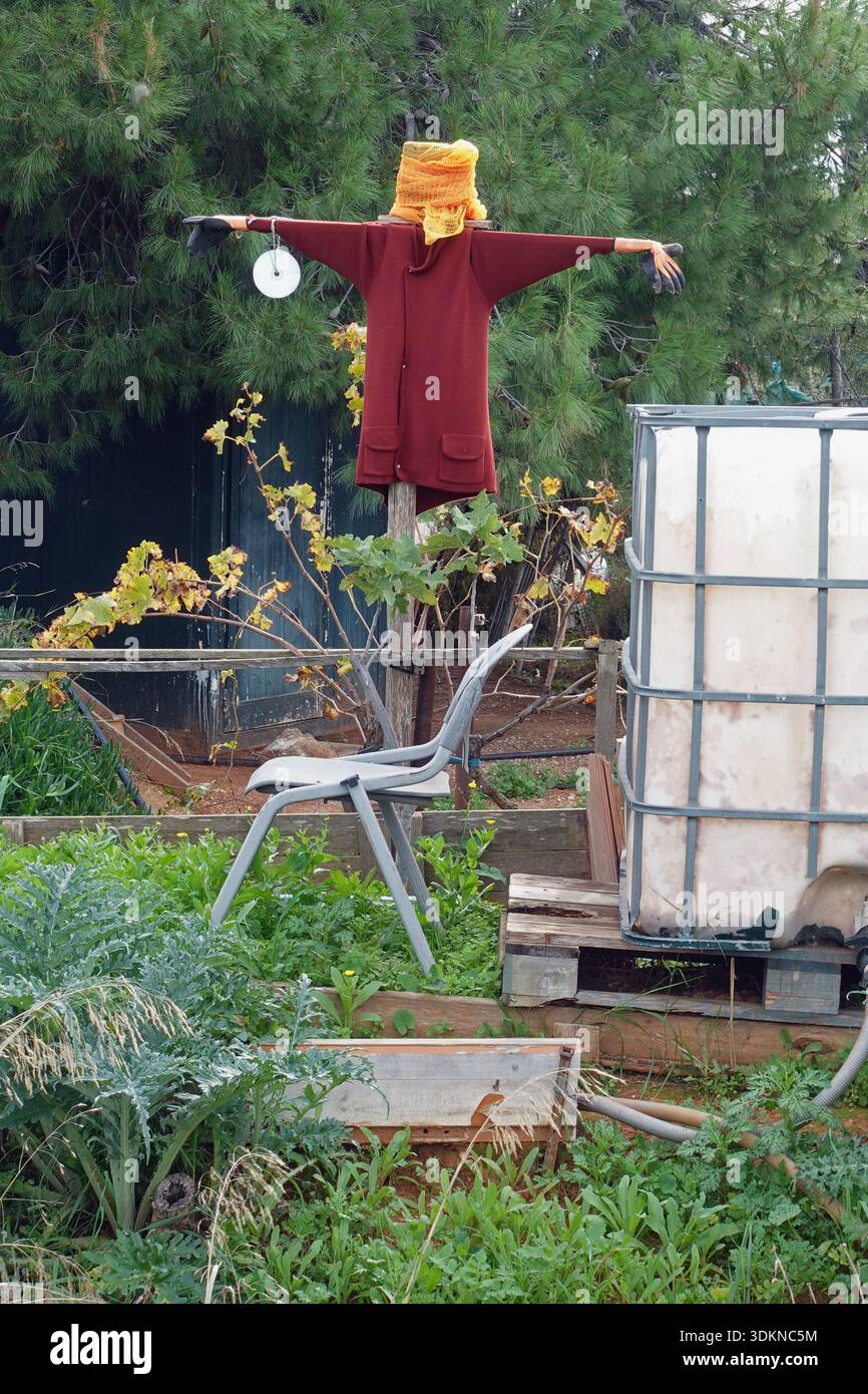 Lo Spaventapasseri in giardino con varie piante alberi e piccolo serbatoio di stoccaggio dell'acqua. Foto Stock