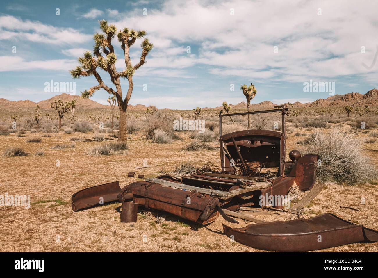 Il Joshua Tree National Park è un vecchio camion arrugginito seduto nel deserto. Il deserto è arido e arido, senza segni di vita. Il carrello è un simbolo di Foto Stock