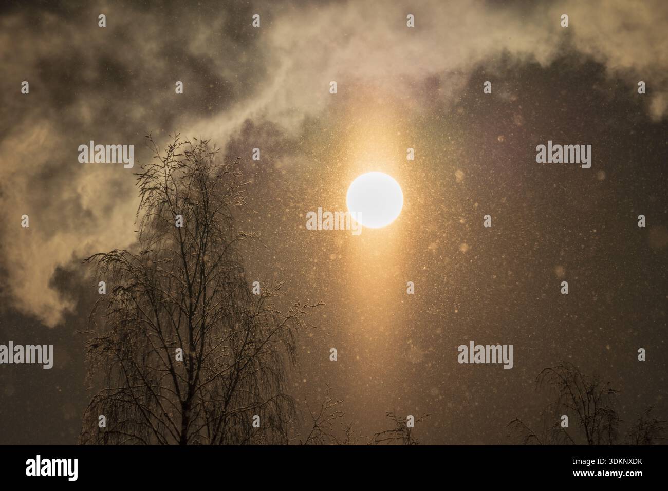 Il luminoso sole invernale splende attraverso la neve che cade e le nuvole spettacolari sugli alberi ghiacciati nella magica natura dell'Estonia, in Europa. Foto Stock