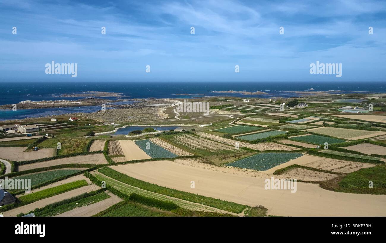 Un mosaico mozzafiato di campi patchwork si estende lungo la costa fino all'orizzonte, dove la terra incontra il mare sotto un vasto e tranquillo cielo estivo. Foto Stock