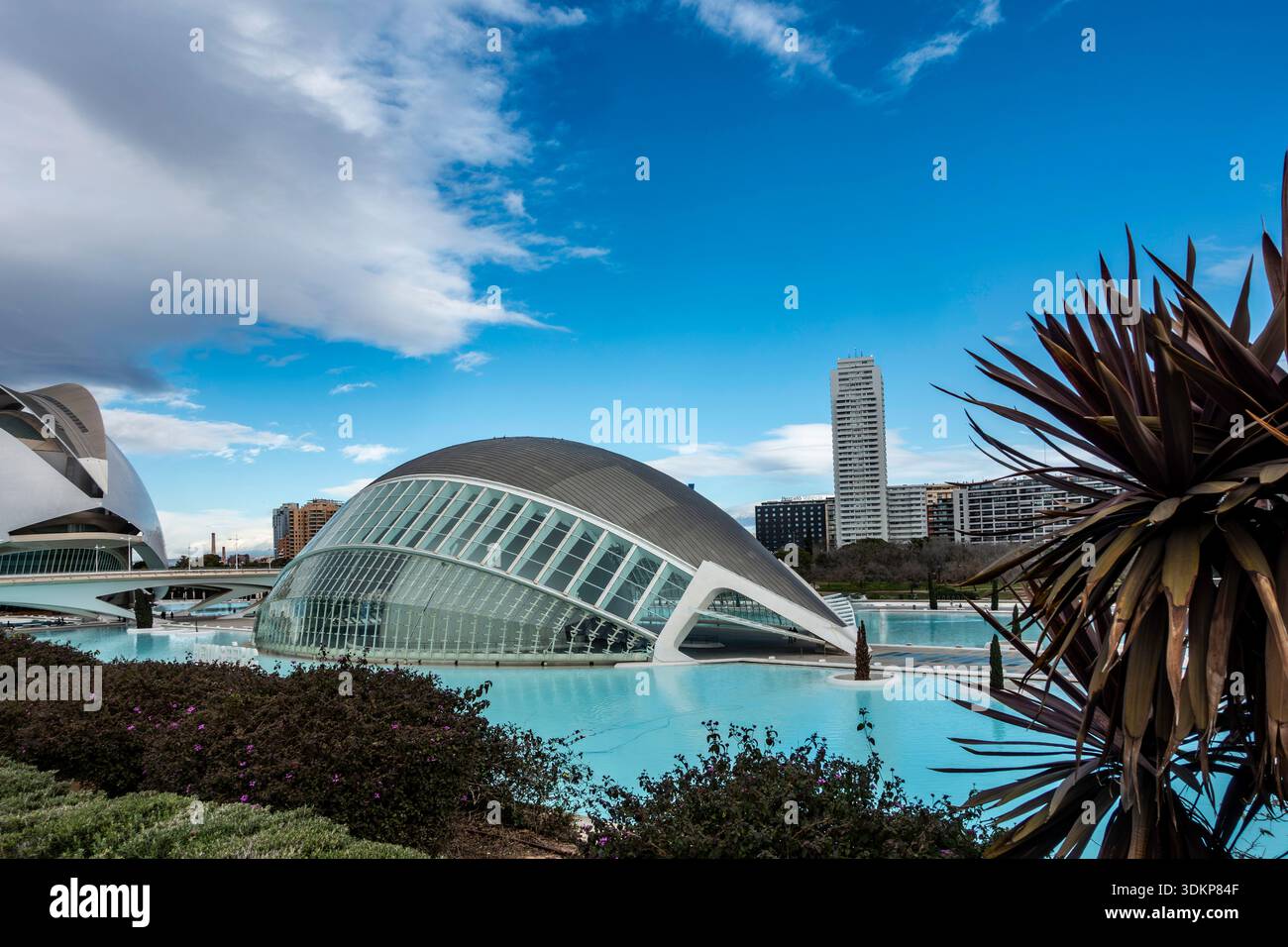 L'edificio Hemisfèric a forma di occhio e le piscine riflettenti del futuristico complesso della città delle Arti e delle Scienze a Valencia, in Spagna, sotto un cielo blu. Foto Stock