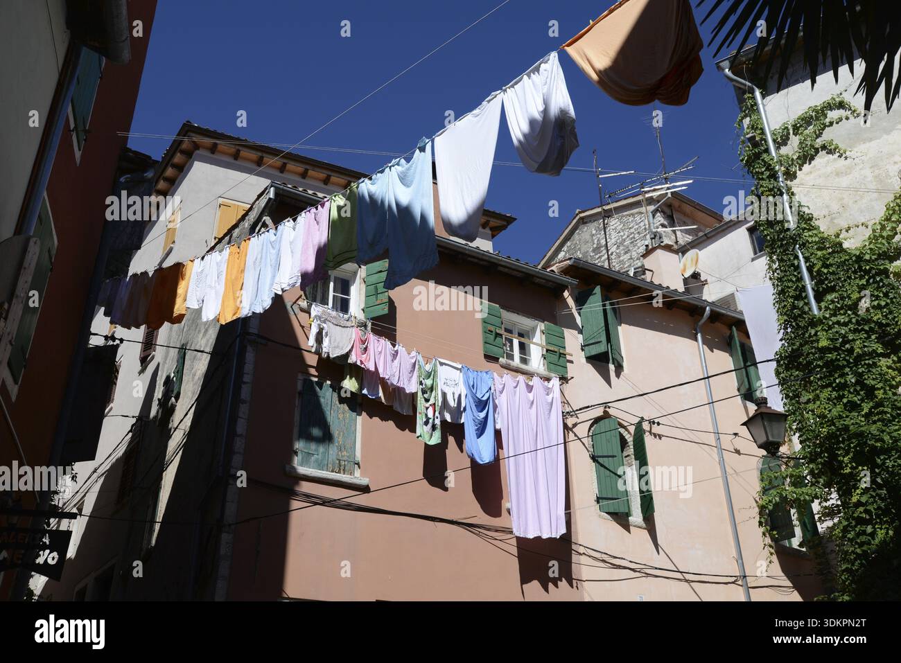Finestre, clothesline, lavanderia, case, Rovigno, Istria, Croazia, città vecchia, facciata, casa, edificio, architettura Foto Stock