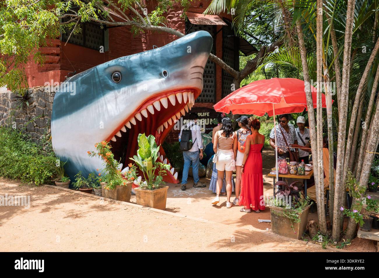 AUROVILLE INDIA - luglio 2025 - enorme squalo all'ingresso di un "museo della fauna selvatica" allestito per i turisti. Foto Stock
