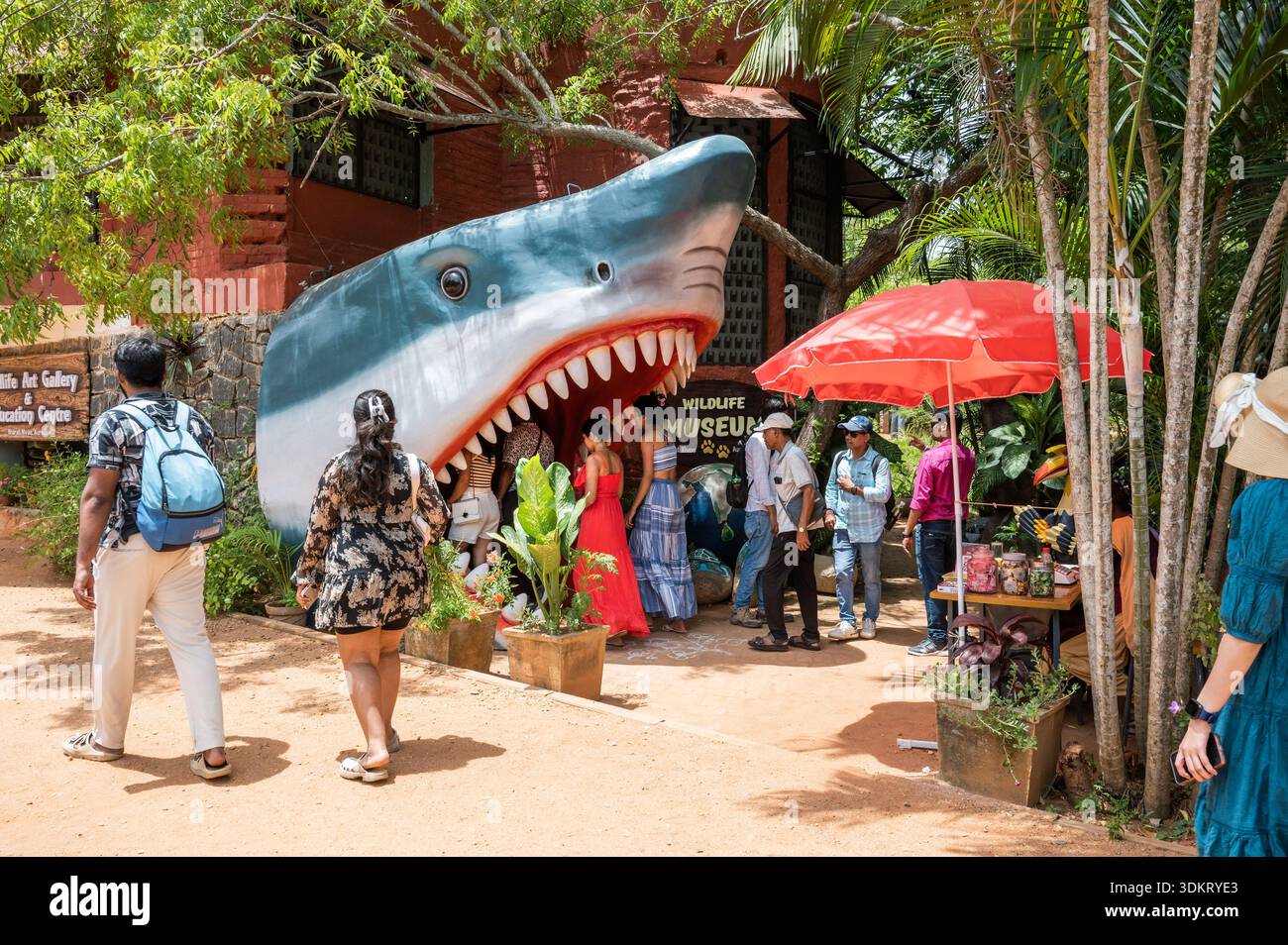 AUROVILLE INDIA - luglio 2025 - enorme squalo all'ingresso di un "museo della fauna selvatica" allestito per i turisti. Foto Stock