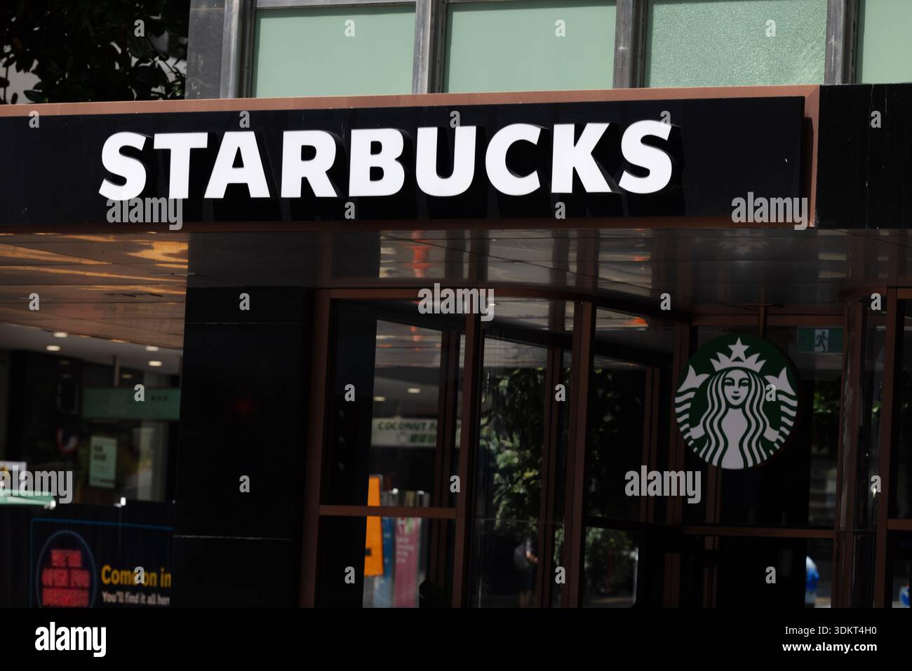 Caffetteria Starbucks all'esterno con segnaletica illuminata all'ingresso al livello della strada nel centro di Auckland, nuova Zelanda. Foto Stock