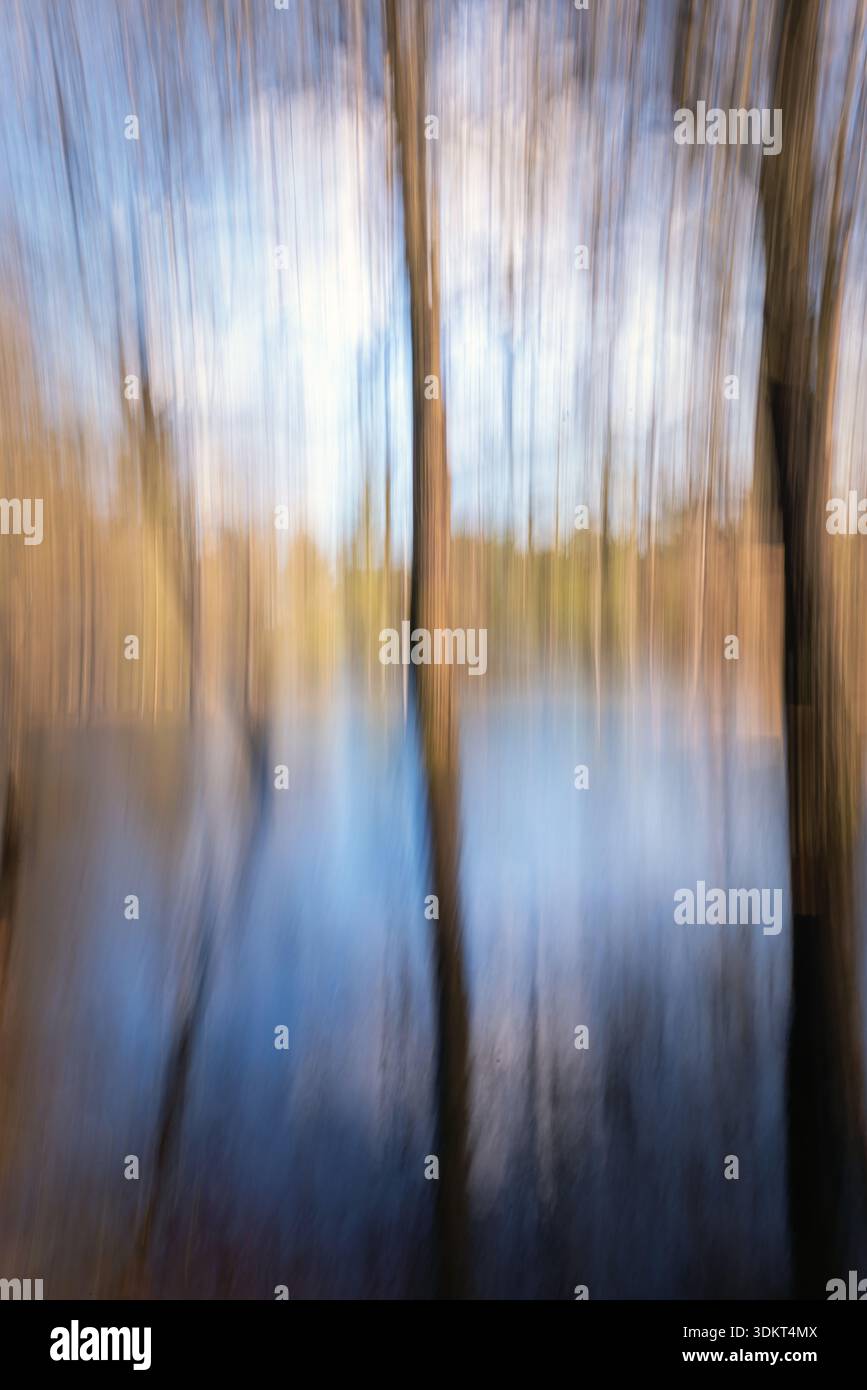 Abstract Landscape of Trees and Lake with intenzionale camera movement, ICM Photography ( ICM) Vertical Motion Blur Foto Stock