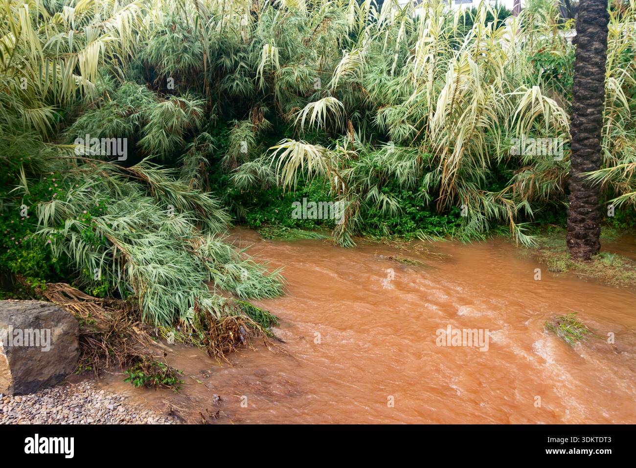 Strade urbane inondate di acqua che trabocca dagli scarichi quando le persone liberano le acque alluvionali e i veicoli si spostano attraverso le aree colpite dopo una pioggia intensa. Spagna. Foto Stock