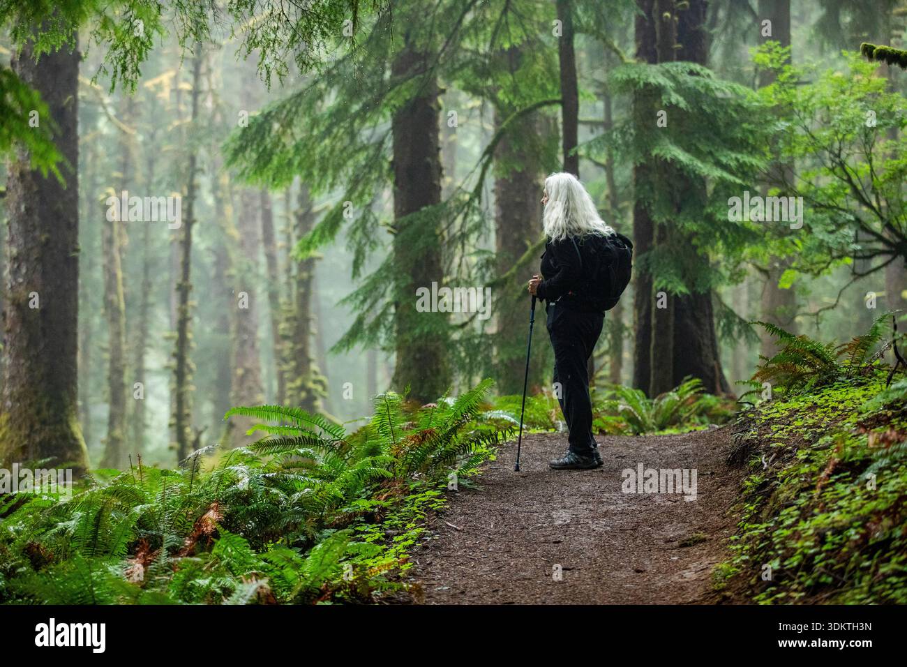 USA, Oregon, Cannon Beach, Senior female hiker lungo il sentiero costiero attraverso la foresta di sequoie Foto Stock
