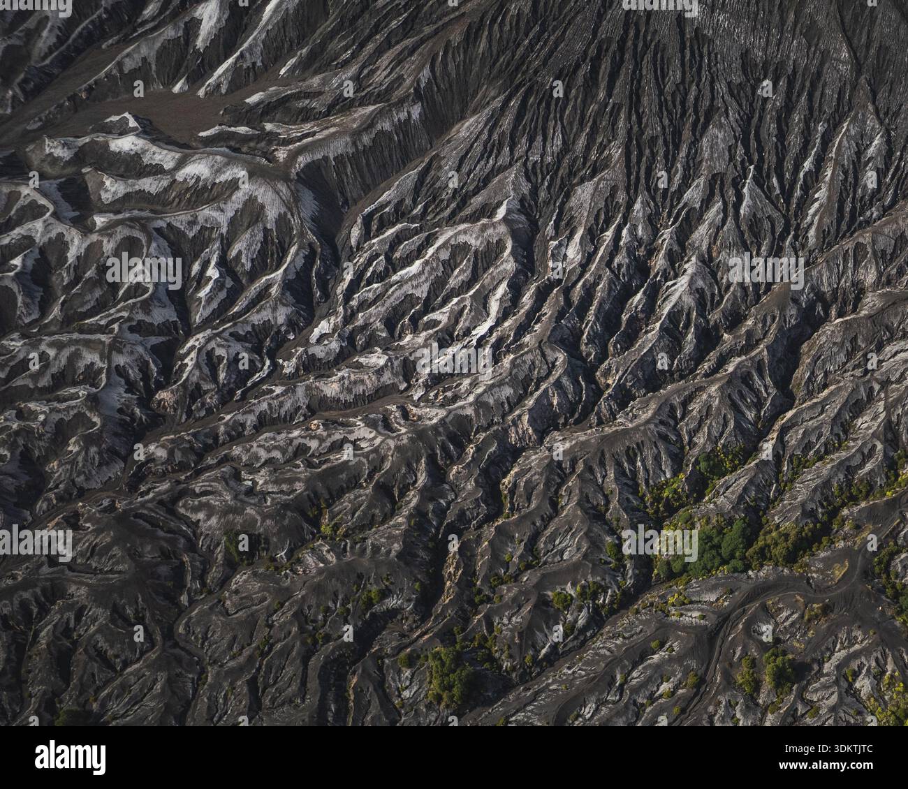 Vista aerea dell'aspro paesaggio di cenere, inciso con profonde gole e vegetazione sparsa, un netto contrasto sotto il sole indonesiano, la Reggenza di Pasuruan, Foto Stock