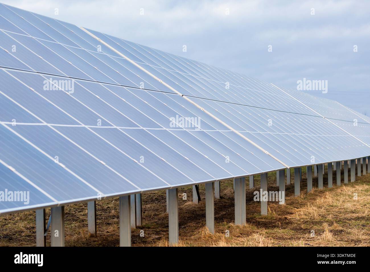 Ampio array di pannelli solari su telai metallici in un campo con erba e terreno asciutti, appoggiato su un cielo coperto con illuminazione diffusa. Foto Stock