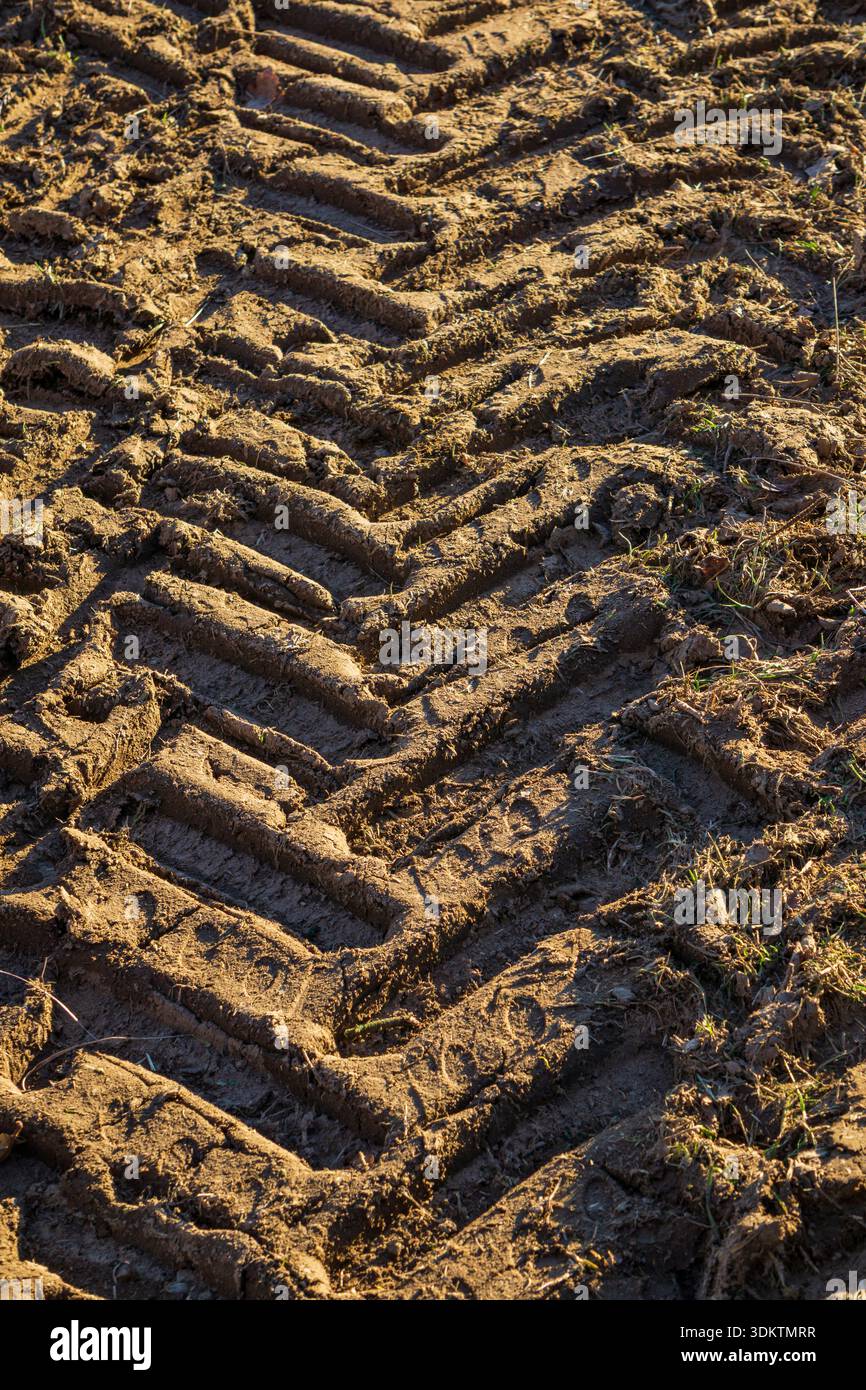 Vista ravvicinata dei cingoli di pneumatici fangosi lasciati dalle macchine agricole su terreni coltivati. Foto Stock