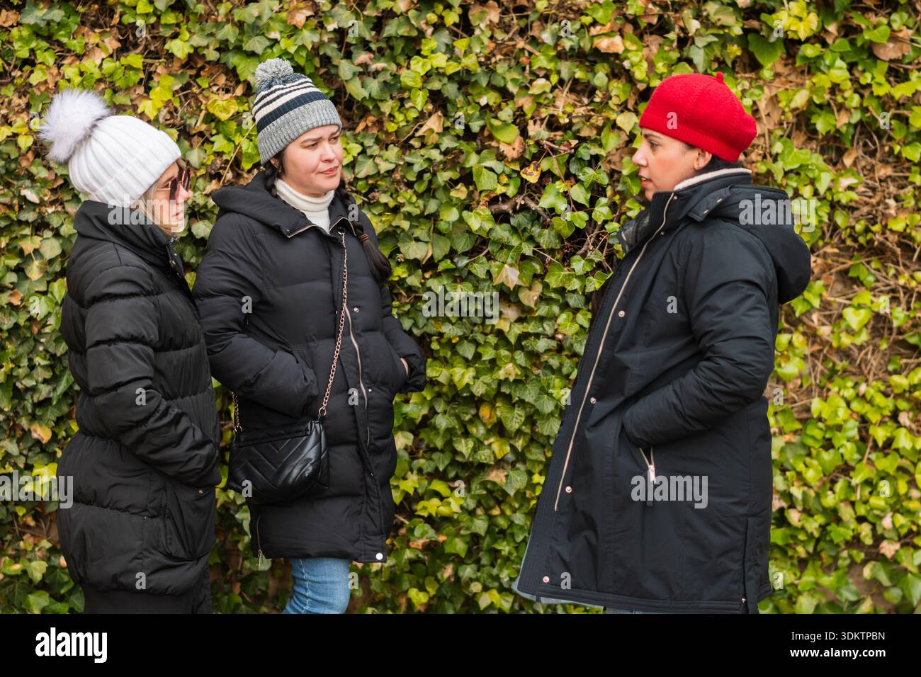 Gruppo di donne che parlano insieme in abbigliamento invernale contro un muro di edera Foto Stock