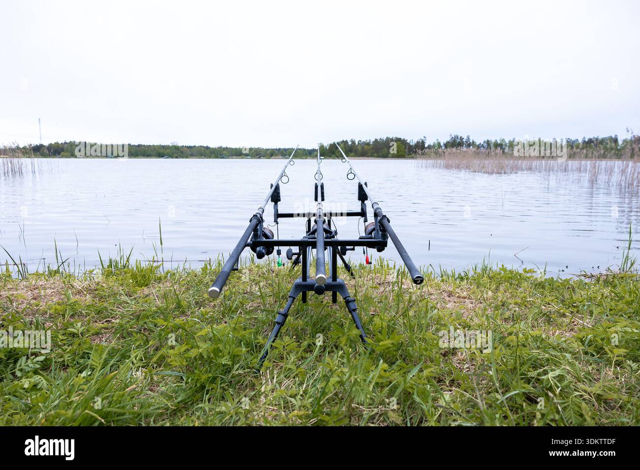 Le canne da pesca riposano su un cavalletto vicino a un corpo d'acqua calmo, con canne lungo la riva e una linea di alberi all'orizzonte sotto un cielo coperto. Foto Stock
