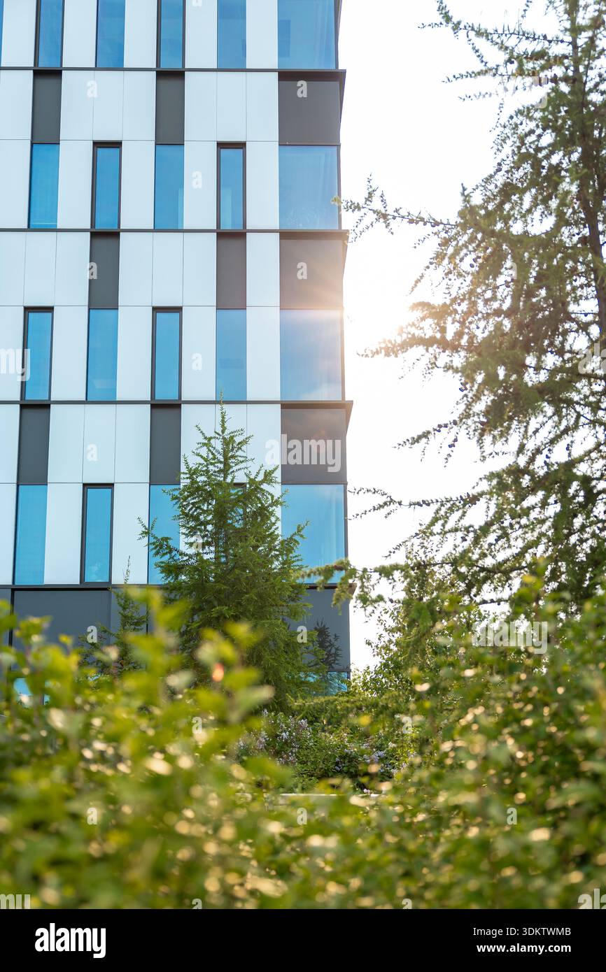 Un edificio moderno con pannelli bianchi e di vetro che riflette la luce del sole, parzialmente oscurata dagli alberi, mentre la luce del sole filtra attraverso i rami. Foto Stock