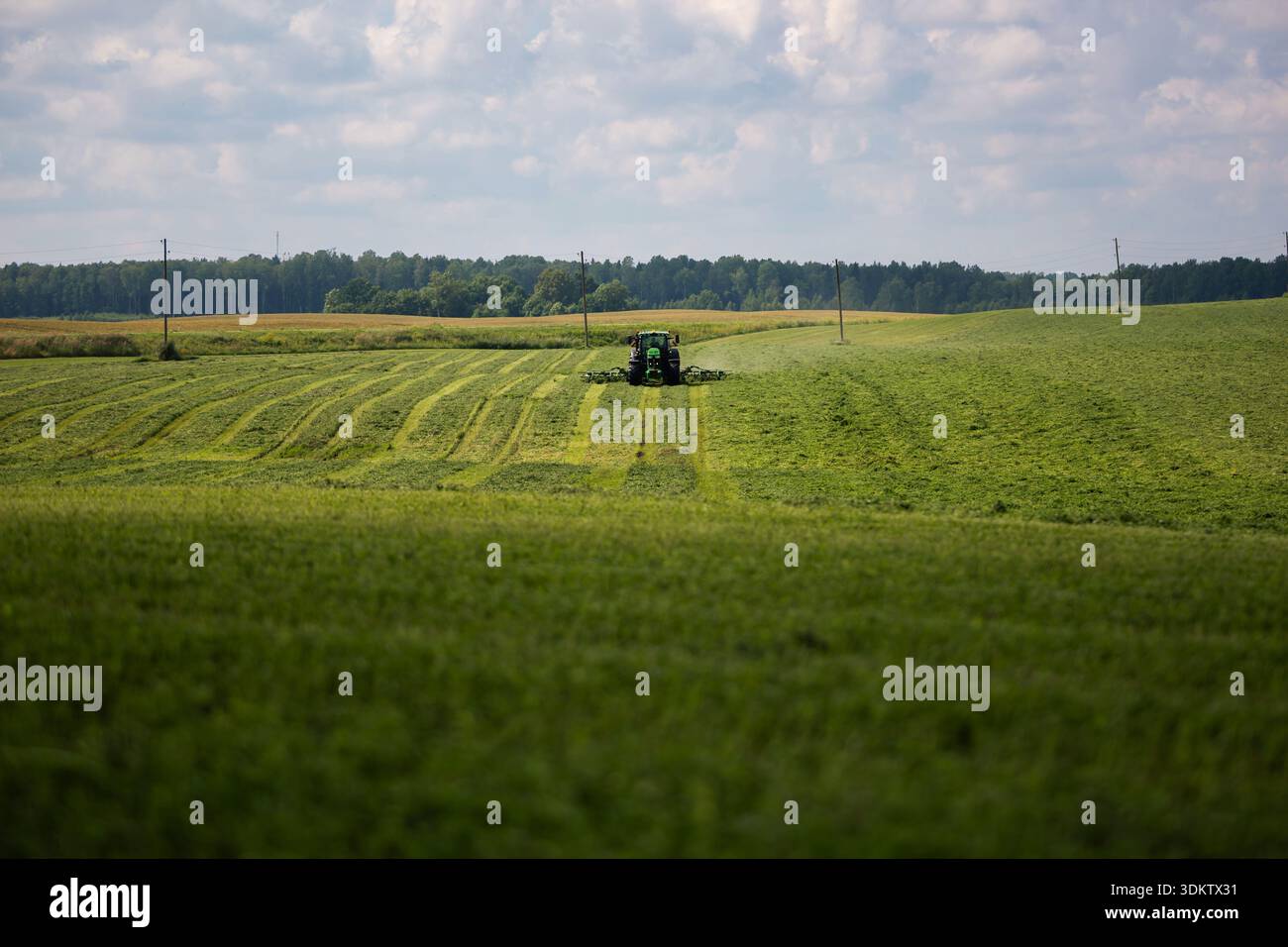 Un trattore verde fieno teds che forma andane curve su terreni agricoli ondulati. Pali di legno si aprono lungo il pascolo. Una linea di foresta scura si incontra spezzata Foto Stock