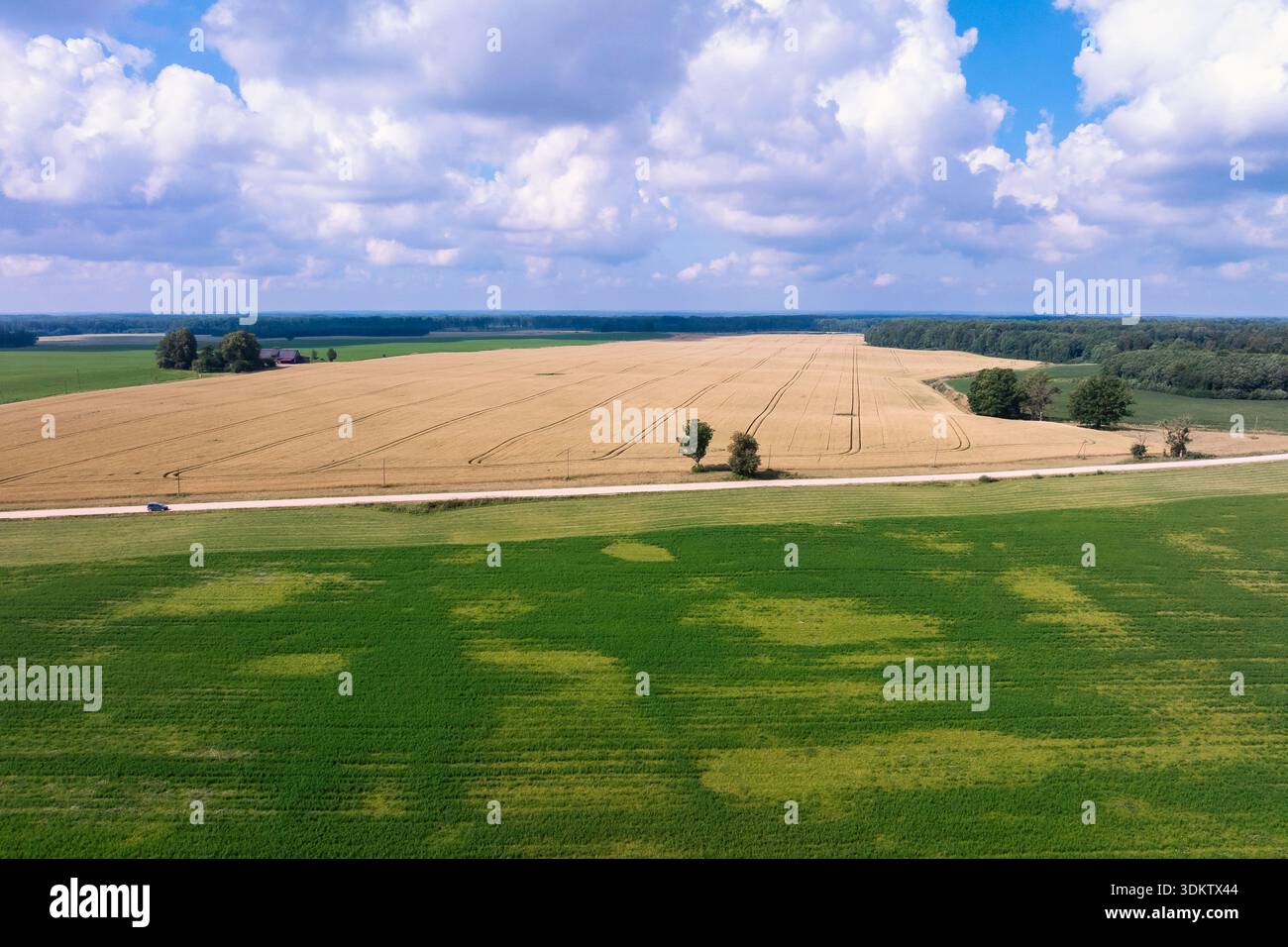 La vista aerea mostra un vasto campo di grano con linee di trattori, una strada rurale rettilinea con un'auto solitaria, pascolo discontinuo, battistrada scuro e un'area coltivata sparsa Foto Stock