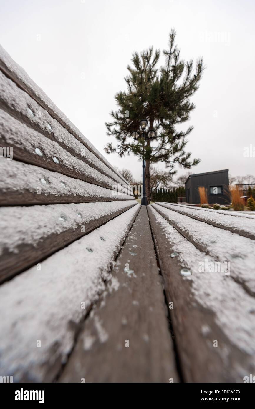 Due panche in legno spolverato di neve formano linee convergenti verso un unico sempreverde, una piccola struttura moderna sulla destra, soffice luce ricoperta, poco profonda Foto Stock