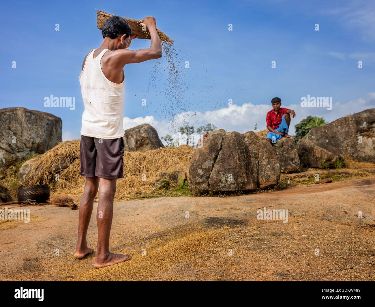 Husking del riso, Orissa, India Foto Stock