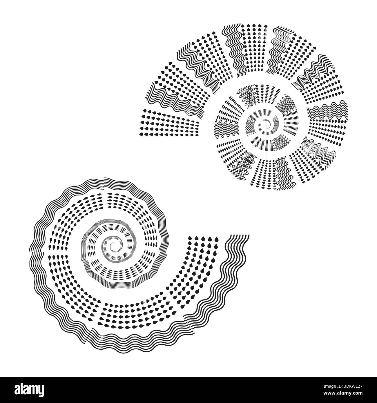 Guscio a spirale grigio. Forma vettoriale curva. Labirinto di turbolenza geometrica. Ornamento grigio del guscio. EPS 10. Illustrazione Vettoriale