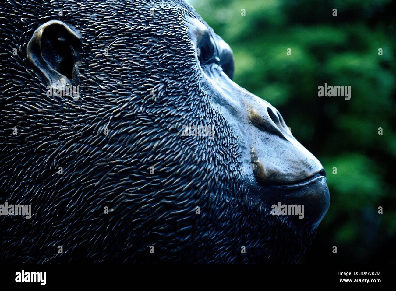 Profilo ravvicinato di una scultura di gorilla in bronzo in un parco verde, che rappresenta la presenza stoica della vita animale in un ambiente umano moderno. Foto Stock