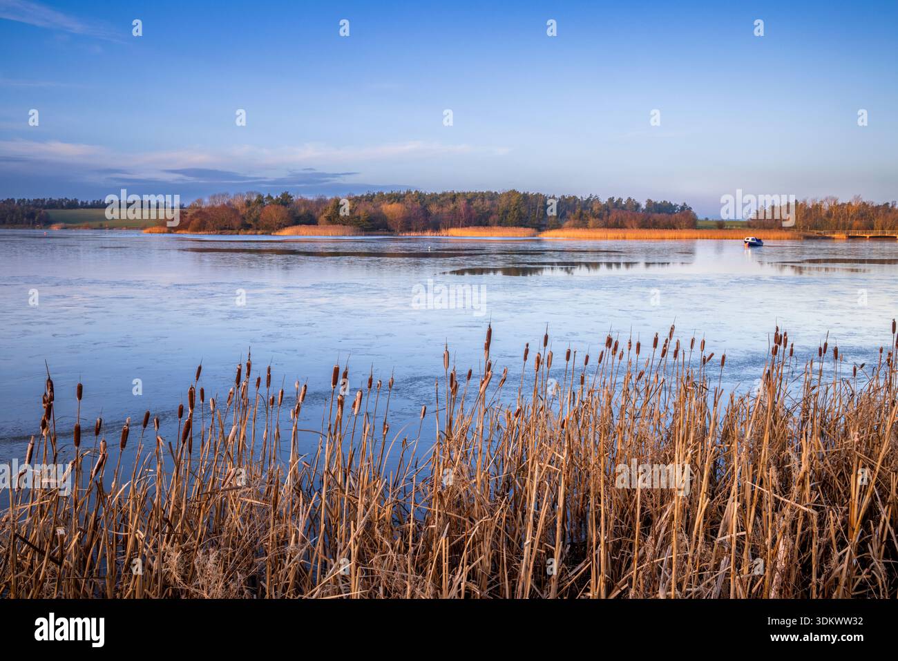 Ghiaccio sul lago Ladyburn al Druridge Bay Country Park, Northumberland Foto Stock