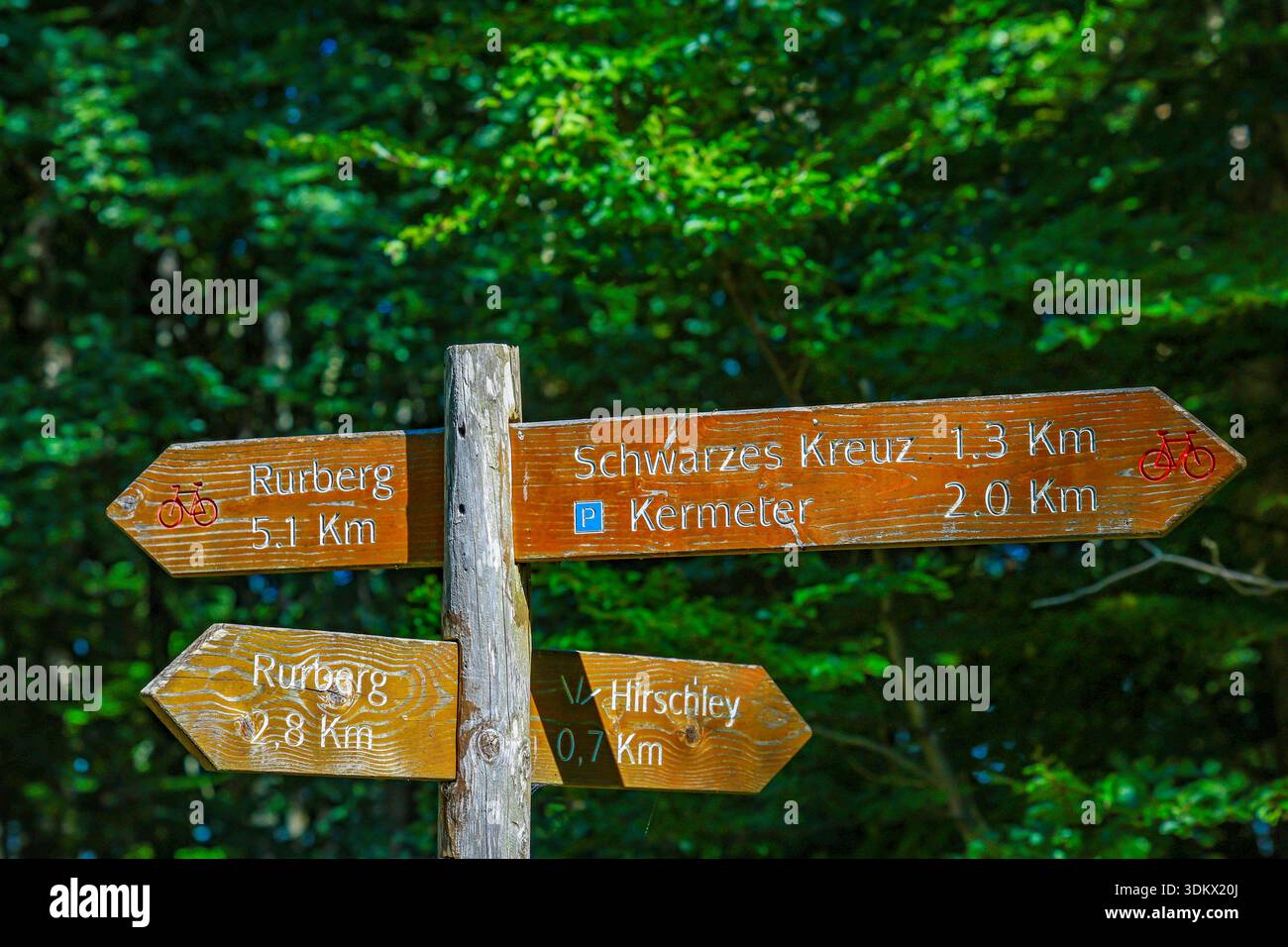 Heimbach, Renania settentrionale-Vestfalia, Germania – Parco Nazionale Eifel. Segui le indicazioni per Rurberg, Schwarzes Kreuz, Kermeter e il punto panoramico di Hirschley nella E. Foto Stock
