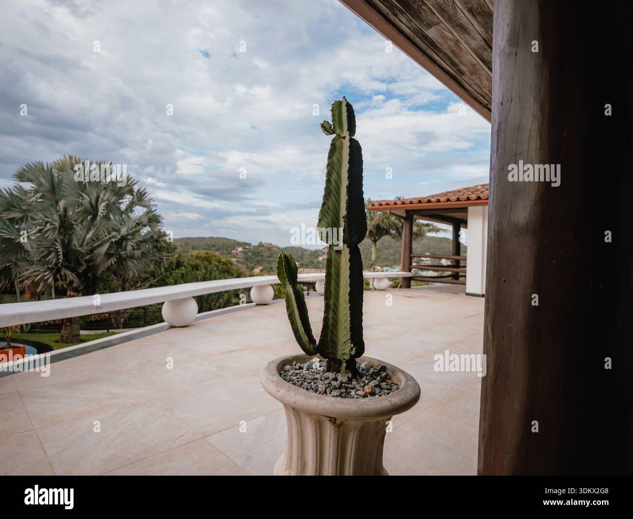 Pianta tipo Cactus in un vaso decorativo situato su una terrazza esterna, con un paesaggio verde e un cielo parzialmente nuvoloso sullo sfondo. Ideale per gard Foto Stock