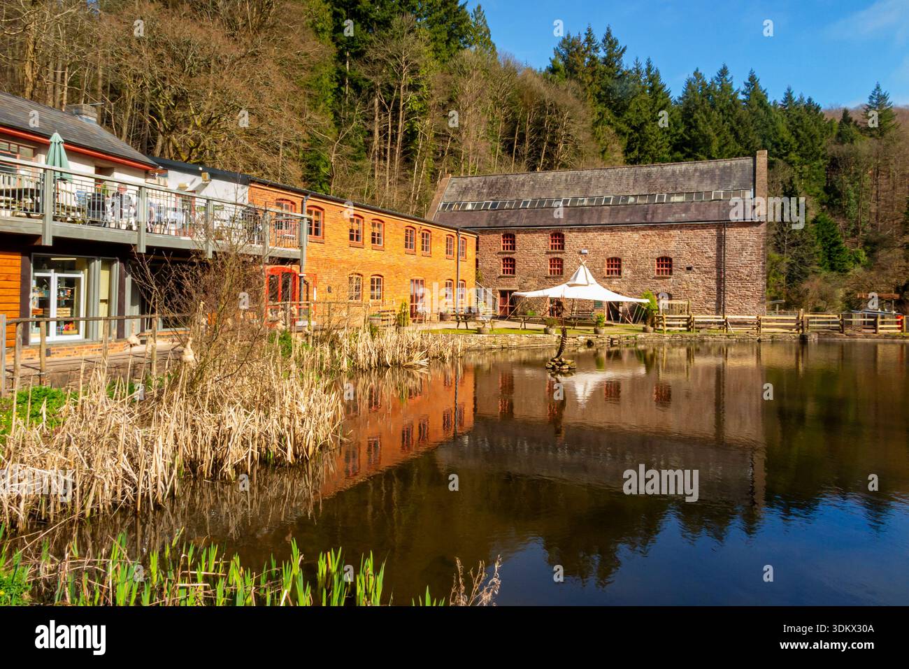 Il Dean Heritage Centre nella valle di Soudley, Forest of Dean, Gloucestershire Inghilterra, un museo che conserva la storia sociale della zona Foto Stock