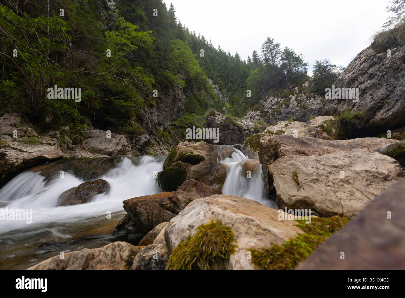 Acqua setosa che precipita in un fiume. Fotografato in Romania a bassa velocità dell'otturatore Foto Stock