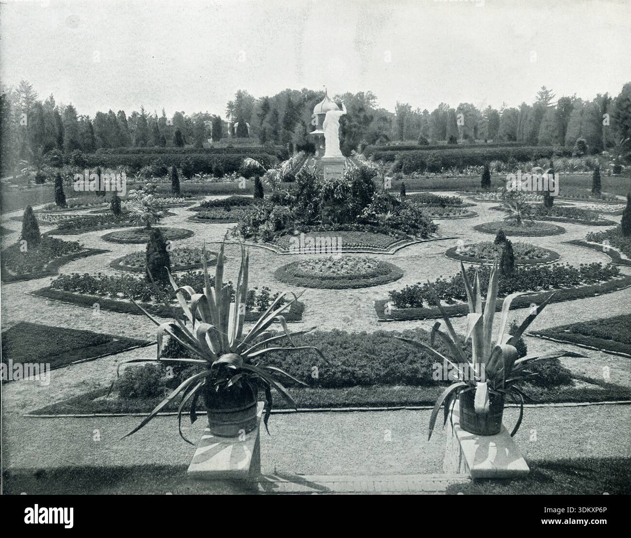 Giardino botanico del Missouri, St Louis, fotografia d'epoca americana del XIX secolo Foto Stock