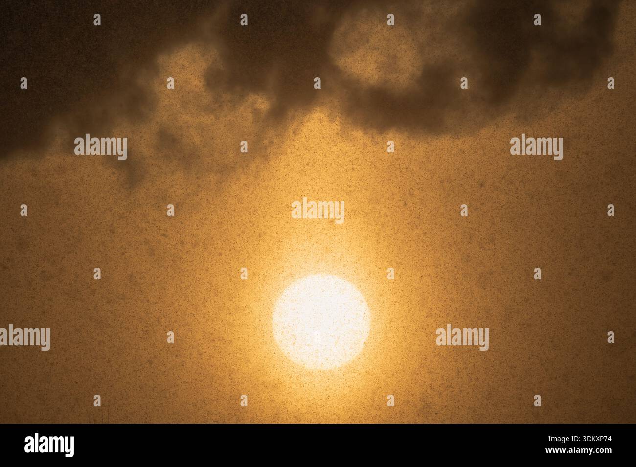 Il sole invernale splende attraverso la neve che cade e le pesanti nuvole in Estonia creando un'atmosfera dorata nebbiosa durante una nevicata. Foto Stock