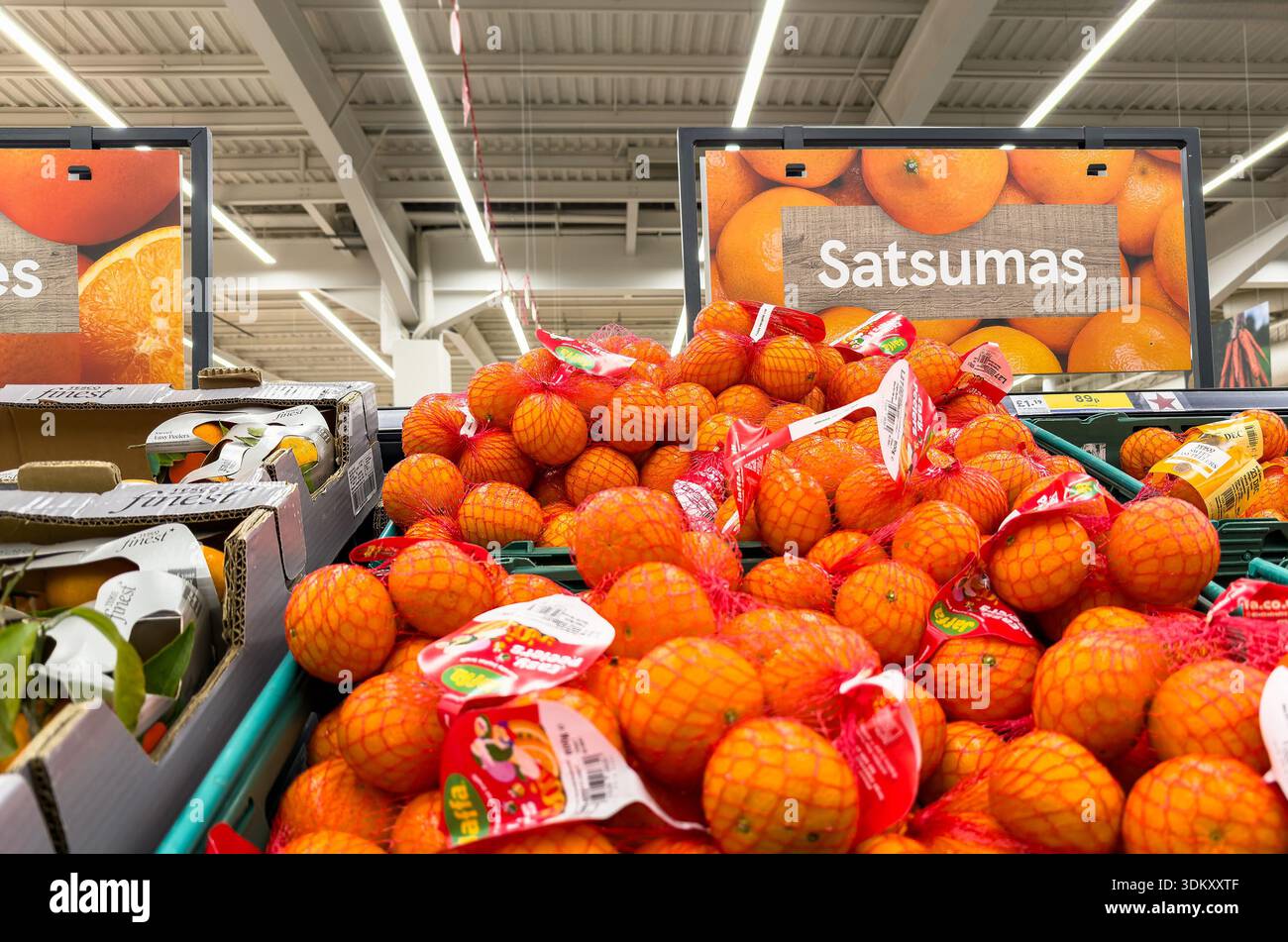 Una vivace mostra di satsuma impilati in un negozio di alimentari, invitando gli acquirenti ad esplorare le opzioni di prodotti freschi Foto Stock
