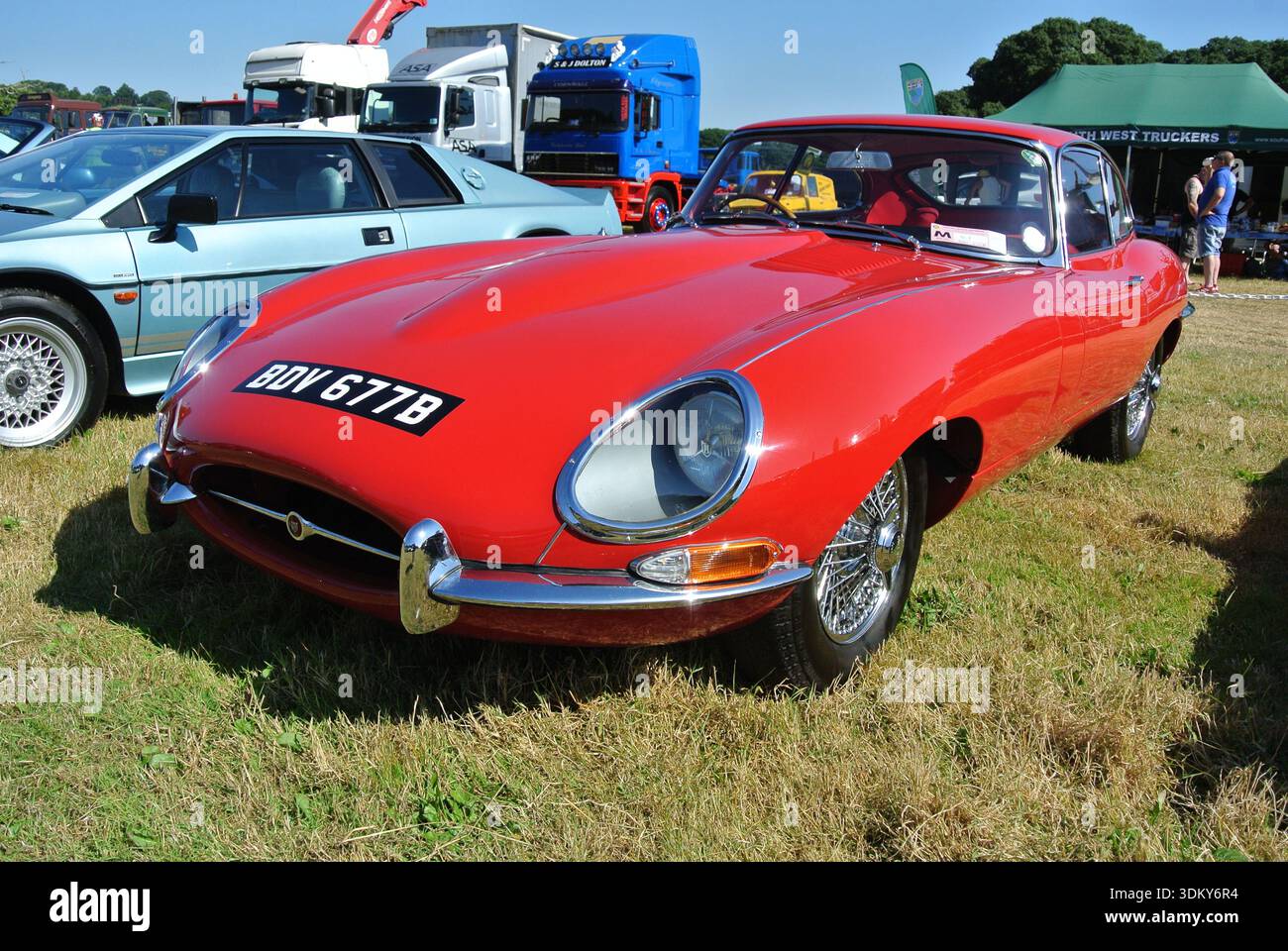 Una Jaguar e Type FHC del 1965 parcheggiata al 50th Historic Vehicle Gathering, Powderham, Devon, Inghilterra, Regno Unito. Foto Stock