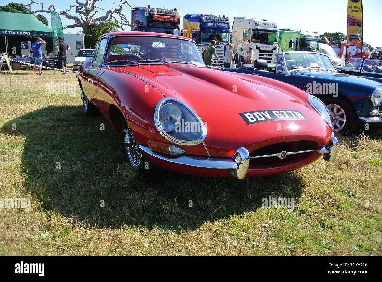 Una Jaguar e Type FHC del 1965 parcheggiata al 50th Historic Vehicle Gathering, Powderham, Devon, Inghilterra, Regno Unito. Foto Stock