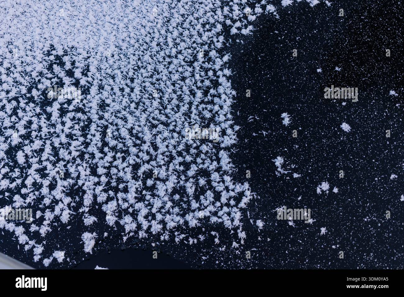 Fiocchi di neve sul ghiaccio del fiume Foto Stock