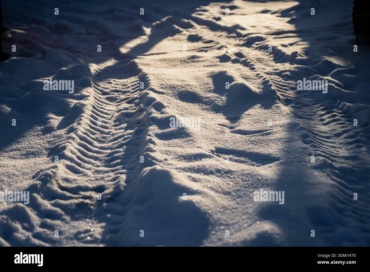 Primo piano di solchi degli pneumatici rigati inseriti in un terreno innevato, gelo scintillante in condizioni di sole basso e zone d'ombra blu, fondo stradale invernale con forte consistenza Foto Stock