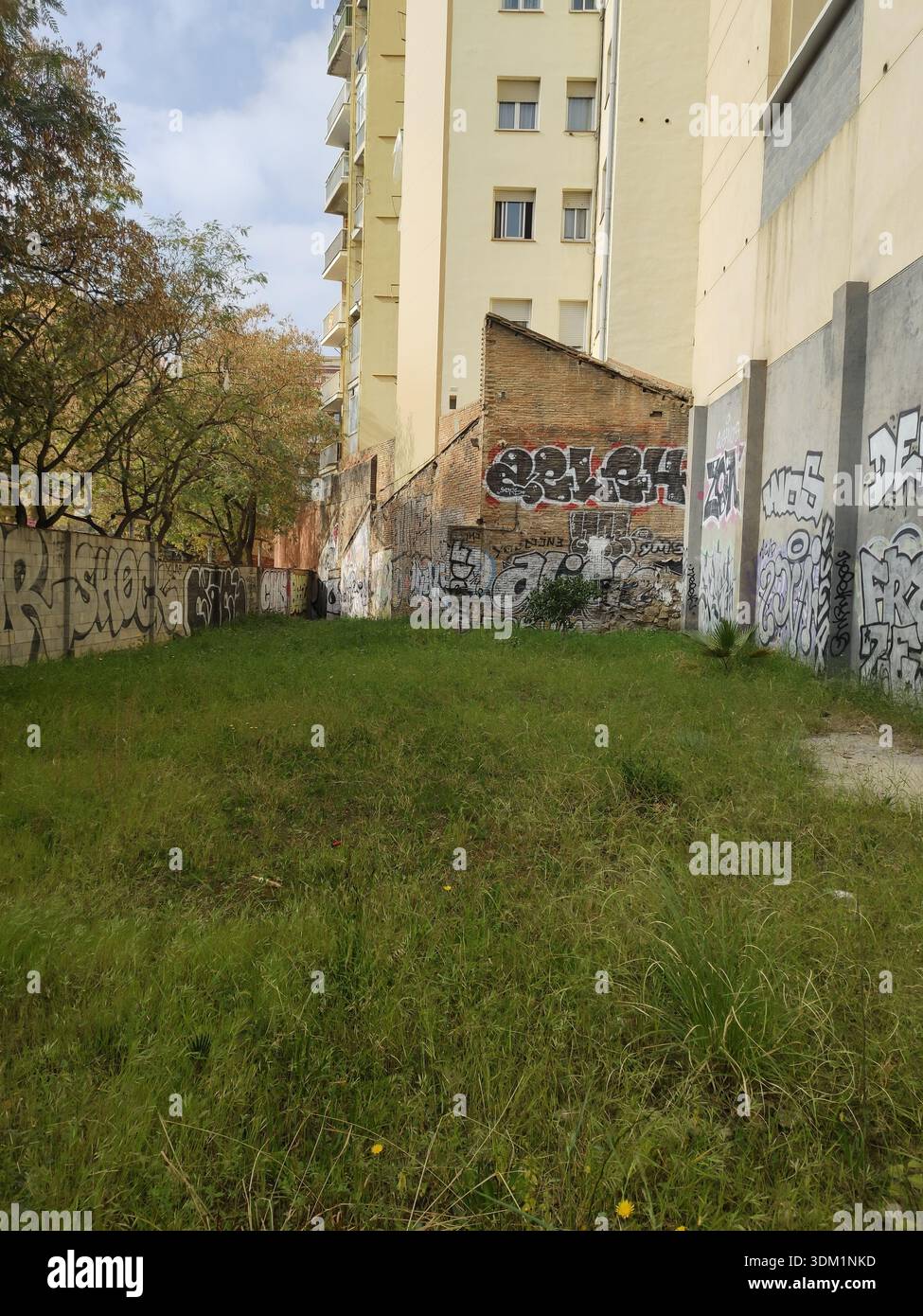 Fotografia verticale di un piccolo appezzamento di terreno nella città di Barcellona, ​​it è un'area urbana per la costruzione di appartamenti. Erba alta e graffi Foto Stock